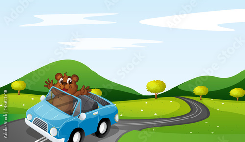 bear and car