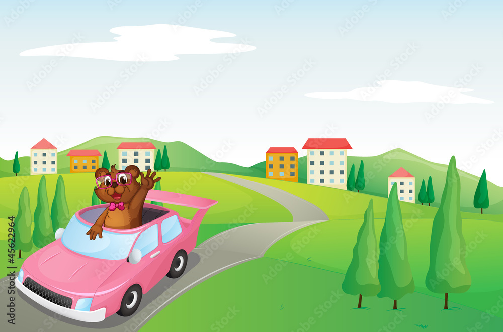baby cub in a car baby cub in a car