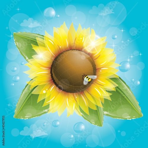 Fototapeta Naklejka Na Ścianę i Meble -  Beautiful sunflower and green leaves against blue sky