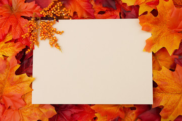 Blank card with fall leaves for your message or invitation