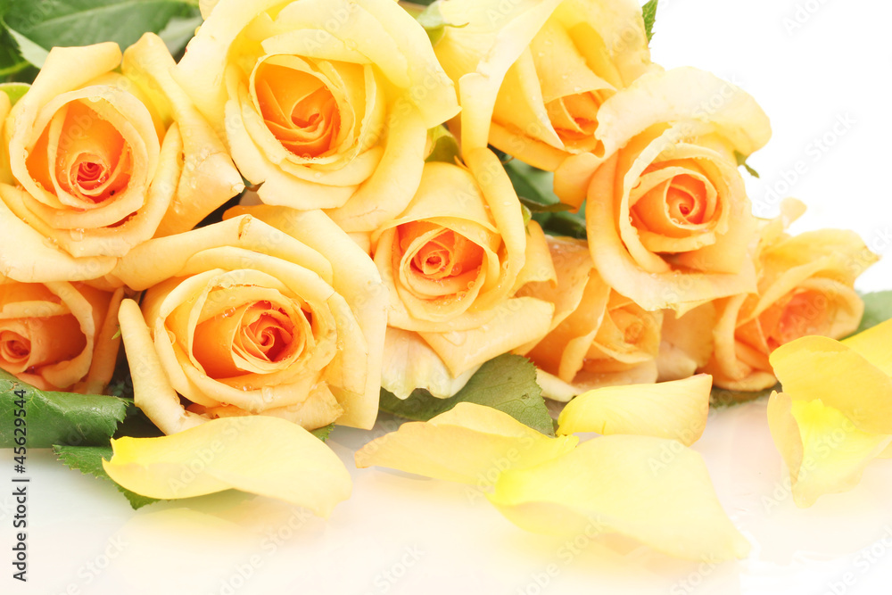 beautiful bouquet of roses and petals isolated on white beautiful bouquet of roses and petals isolated on white