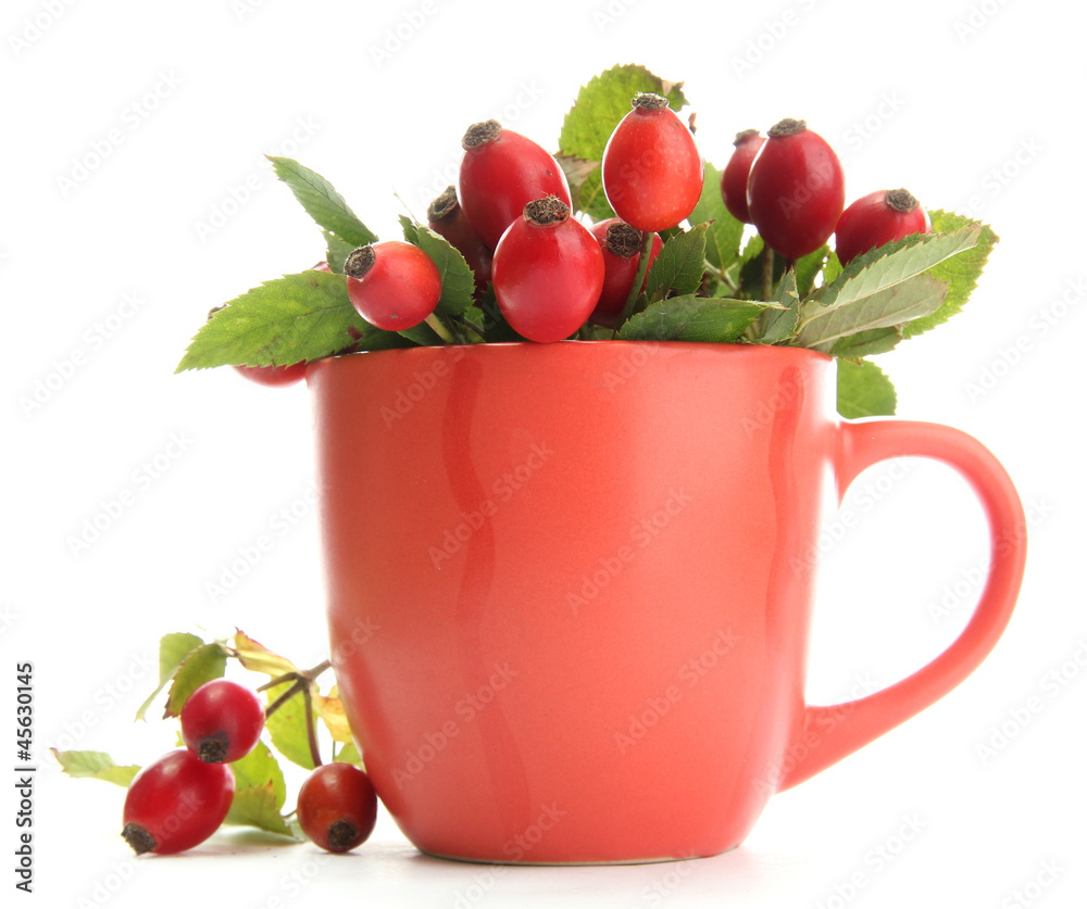 ripe hip roses with leaves in cup, isolated on white ripe hip roses with leaves in cup, isolated on white