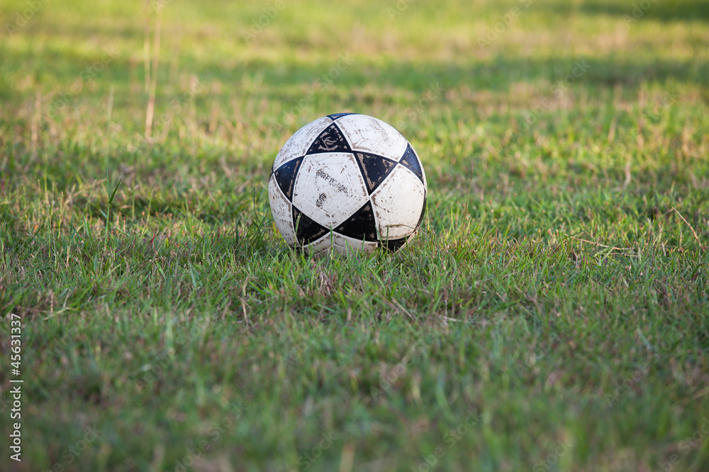 Fototapeta premium football