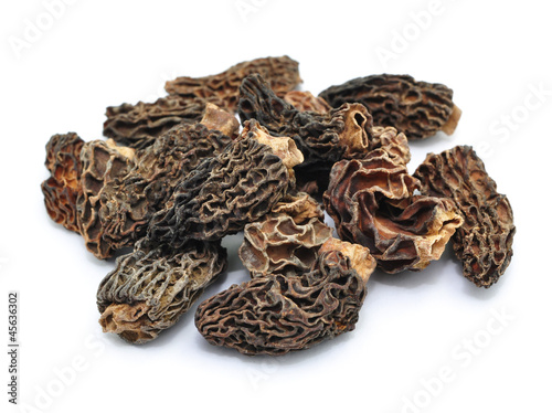 morchella, trocken photo