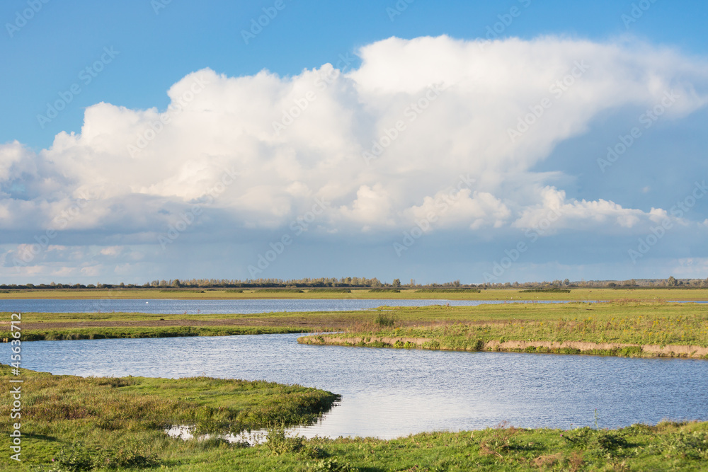 Dutch national park Oostvaardersplassen with beautiful cloudscap Dutch national park Oostvaardersplassen with beautiful cloudscap