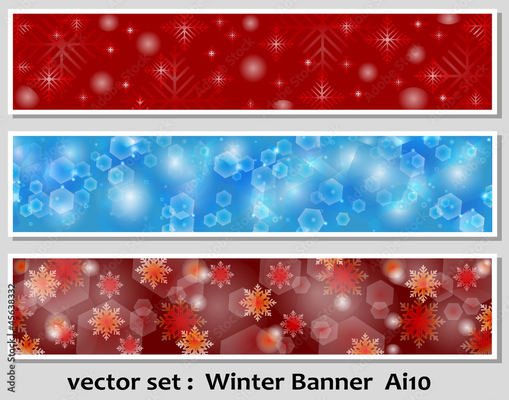 Winter Banner