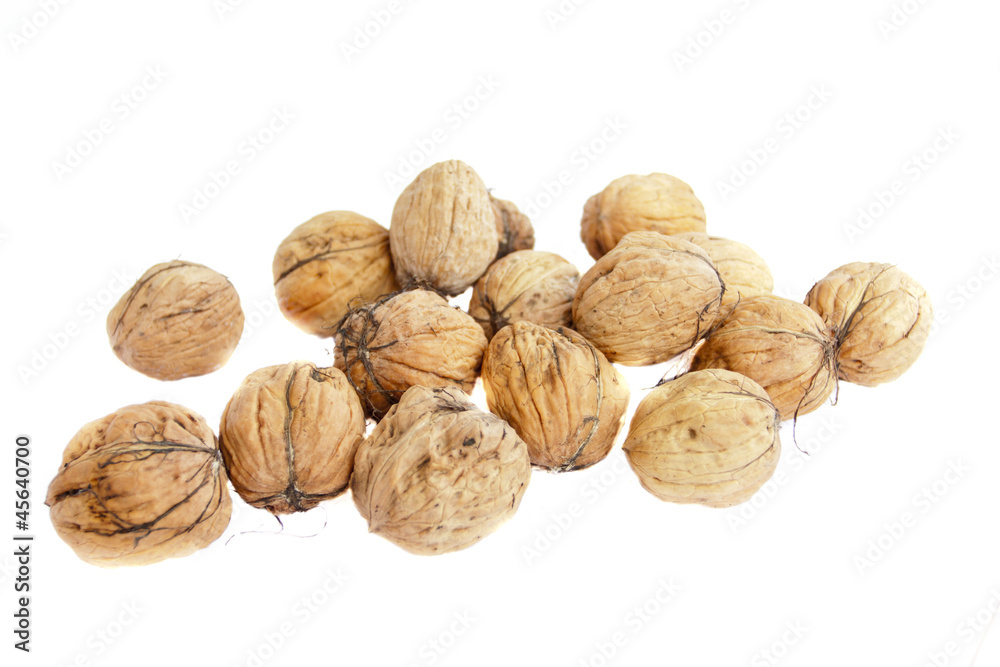 Large, fresh walnuts