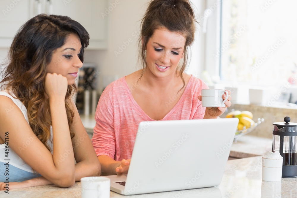 Smiling friends with laptop having coffee Smiling friends with laptop having coffee