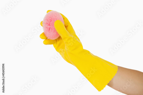 Female hand holding sponge