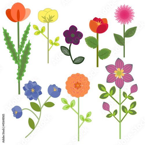 Set of decorative multicolored flowers