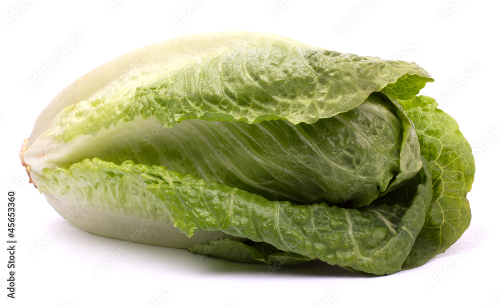 Iceberg lettuce isolated on white