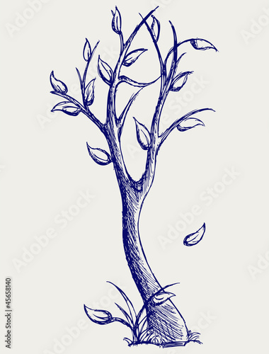 Trees silhouettes. Doodle style
