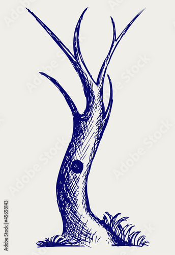 Trees silhouettes. Doodle style