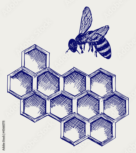 Working bee on honeycells