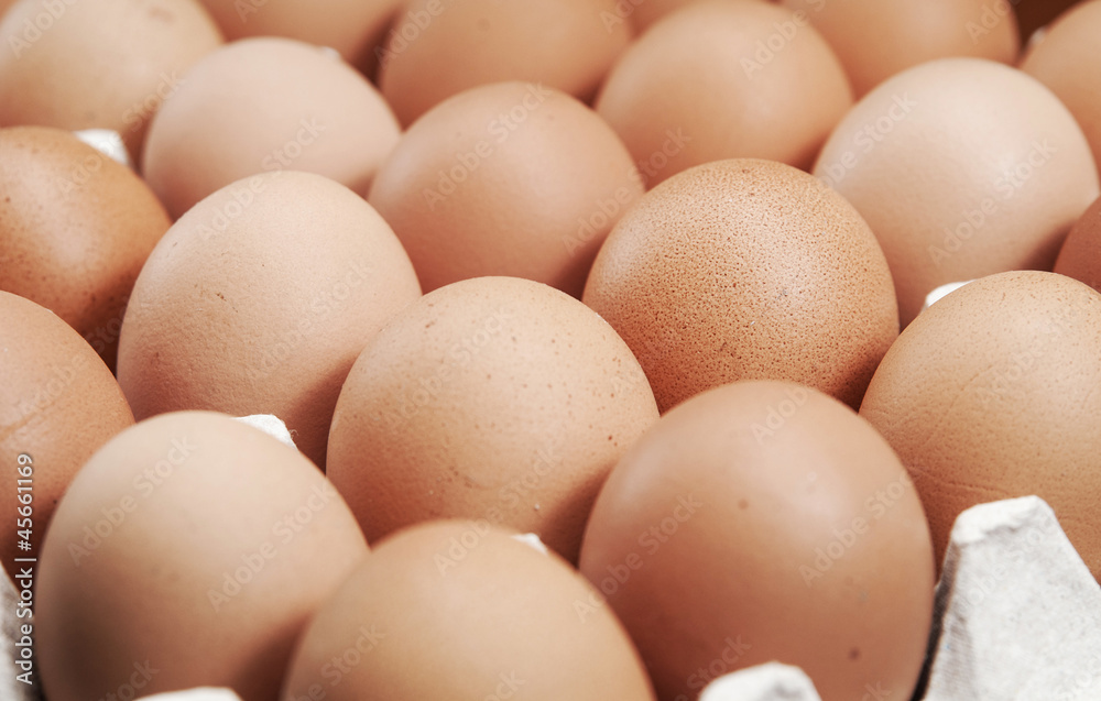 fresh eggs fresh eggs