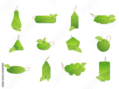 0901 Green Leaf Labels