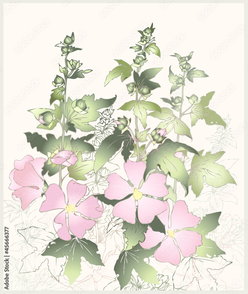 Greeting card with mallow.