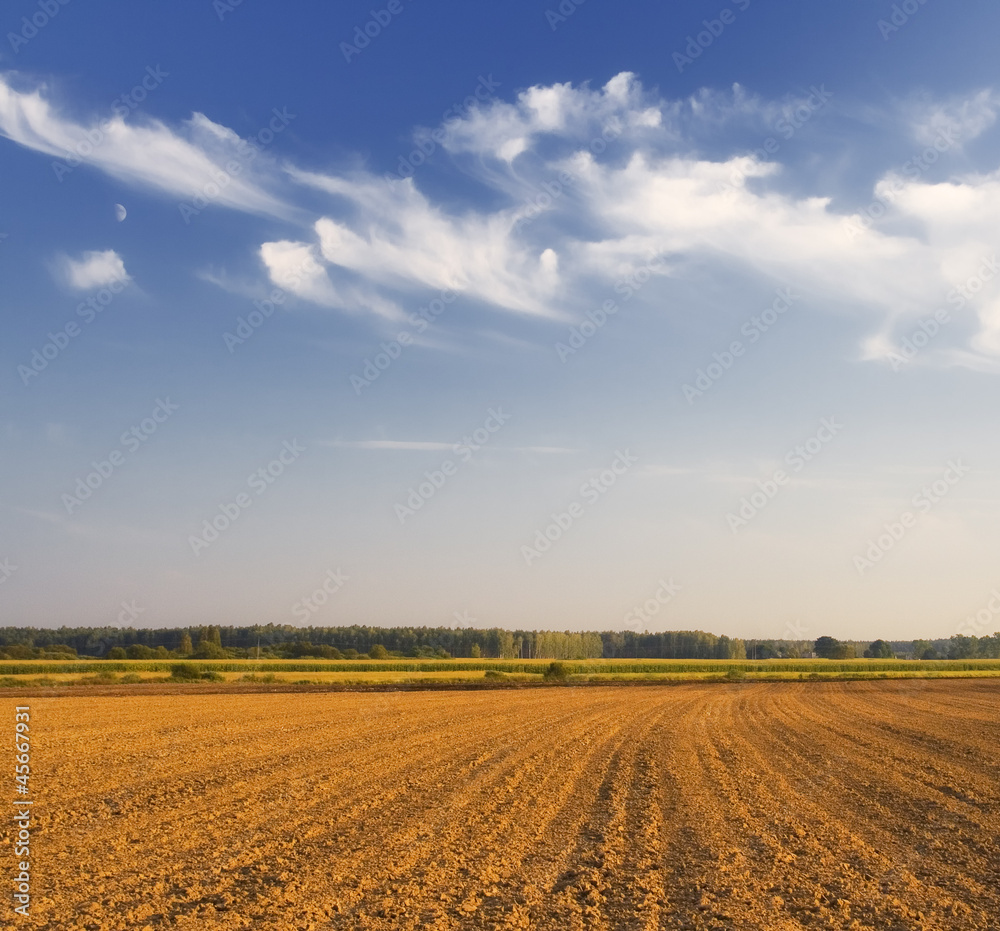 plowed field with nice light.