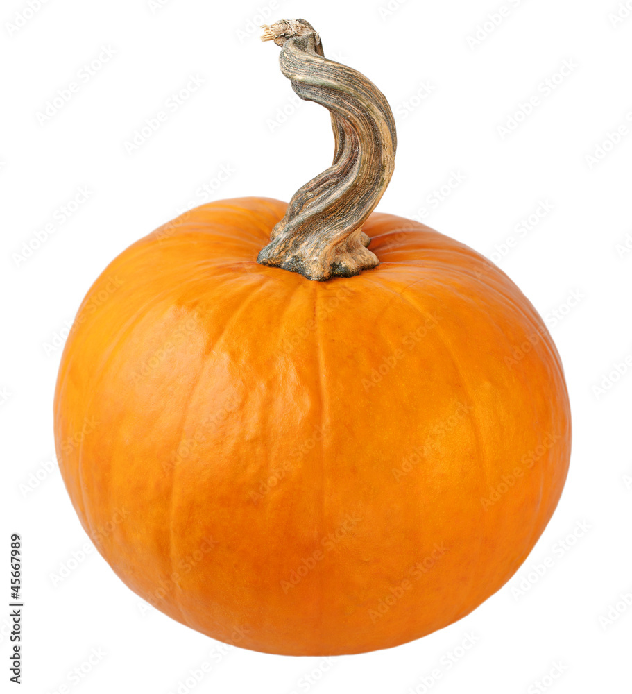 Obraz premium yellow pumpkin on a white background.