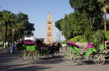 calèches au Maroc