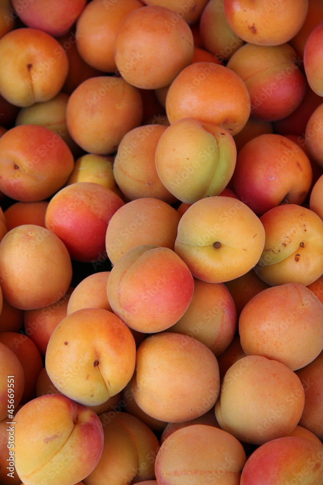 Apricots