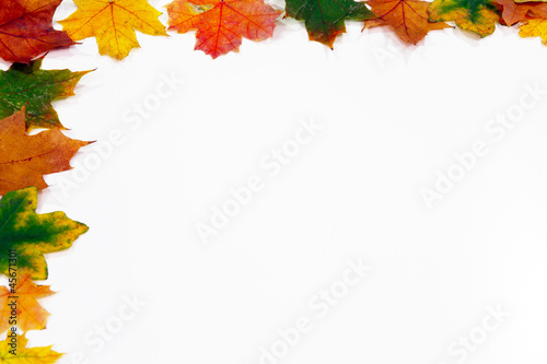 Bunter Blätterrahmen