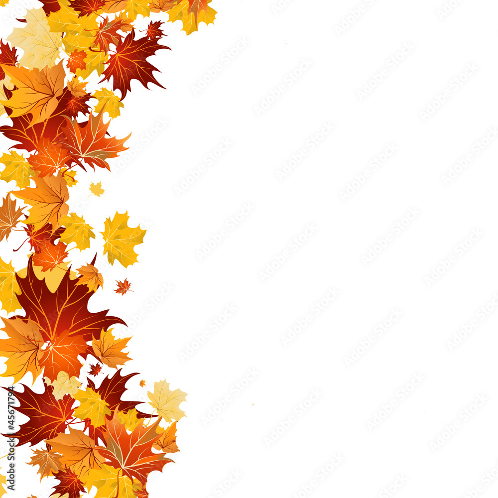 Herbst: eine Seite mit Blättern Herbst: eine Seite mit Blättern