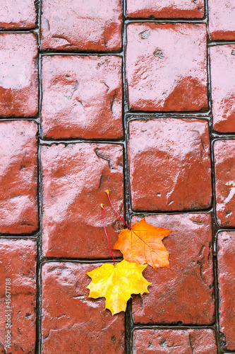 Autumn leaves on cobblestone road