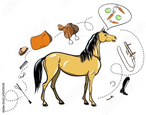 horse and tack