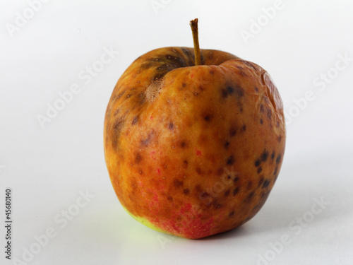 apple spoiled on white background