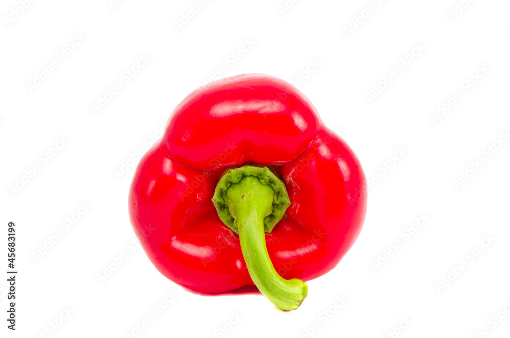 red pepper isolated on white background red pepper isolated on white background