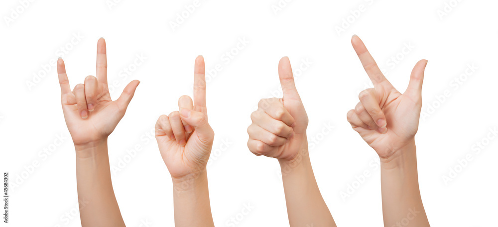 Women hands. Women hands.