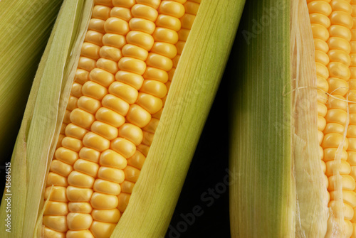 corn cob