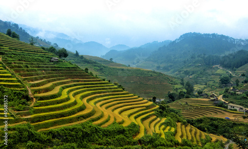 Rice Terraces in  Vietnam © degist