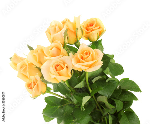 beautiful bouquet of roses isolated on white