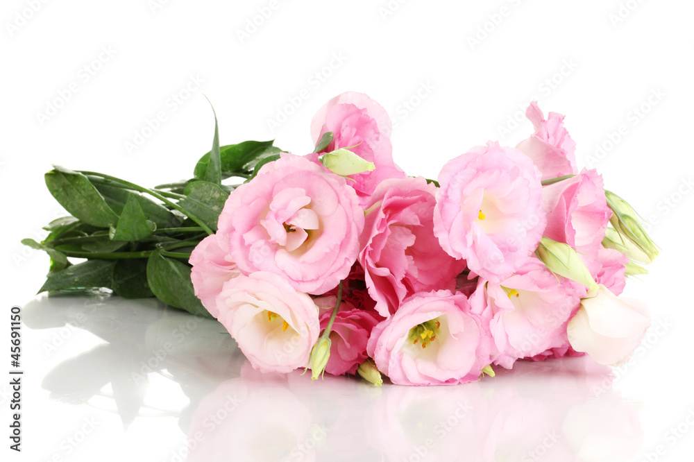 bouquet of eustoma flowers, isolated on white