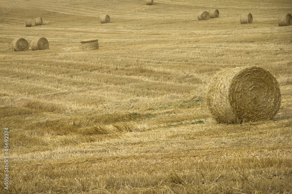 Fototapeta premium Bales in field