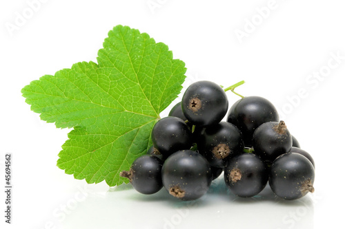 black currant and green leaves on a white background