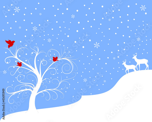 Christmas Birds