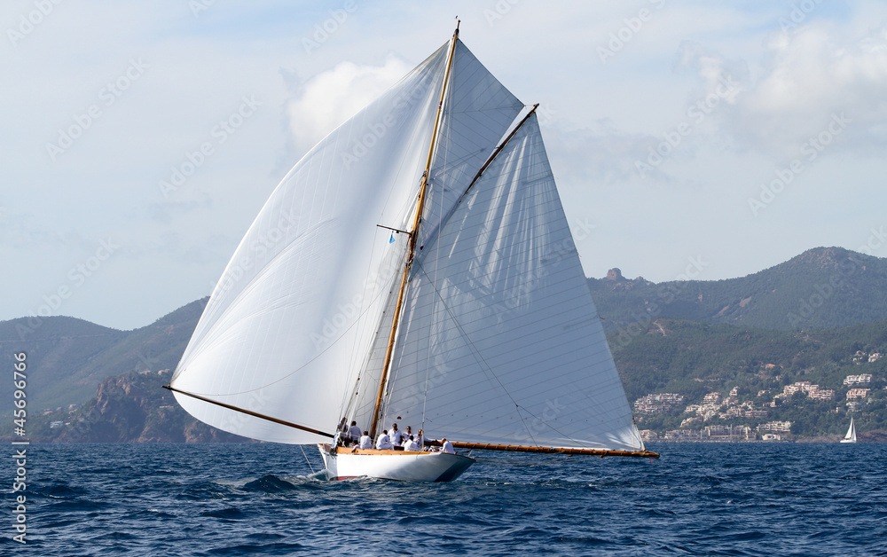 Fototapeta premium voile