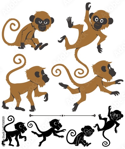 Monkeys
