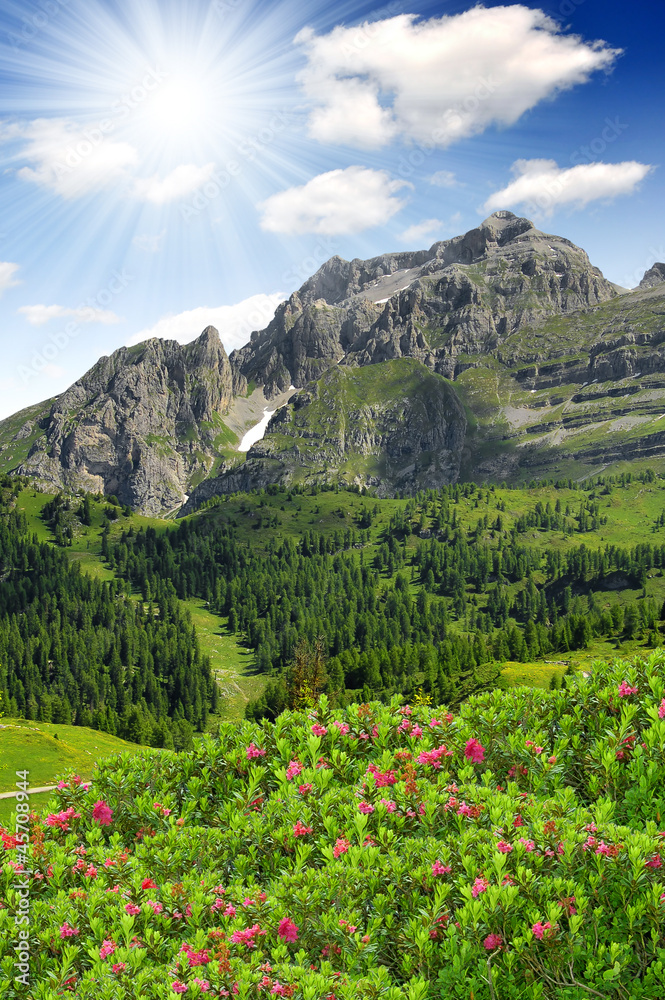 view of the mountain Brenta-Dolomites Italy