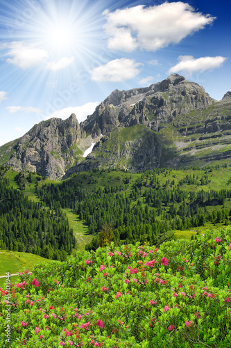 view of the mountain Brenta-Dolomites Italy