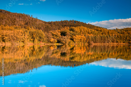 Symmetry reflection on the autumn lake