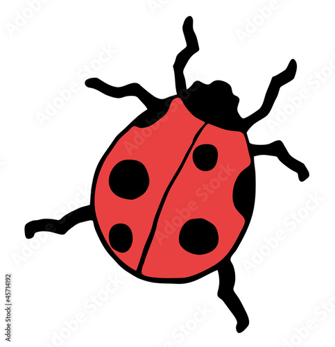 Drawing ladybug © RATOCA