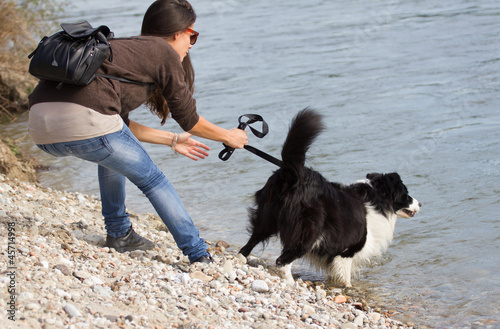 dog pulling to the water photo