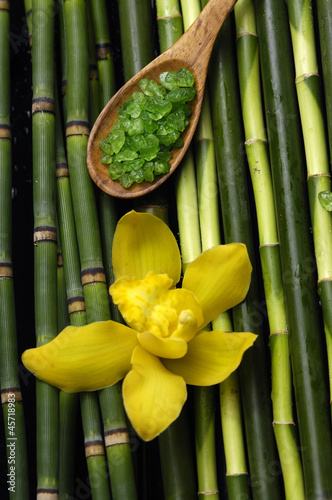 salt in on wooden spoon with orchid on bamboo grov