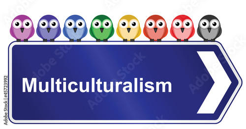 Representation of multiculturalism in society