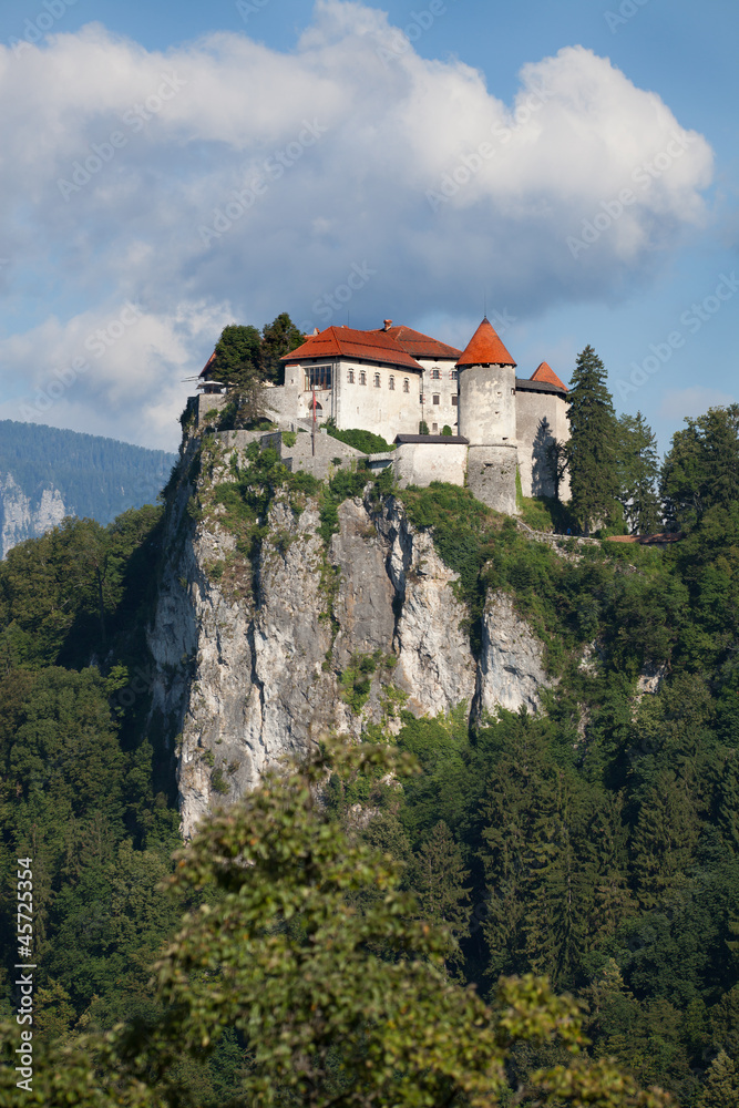 Bled castle, Slovenia Bled castle, Slovenia