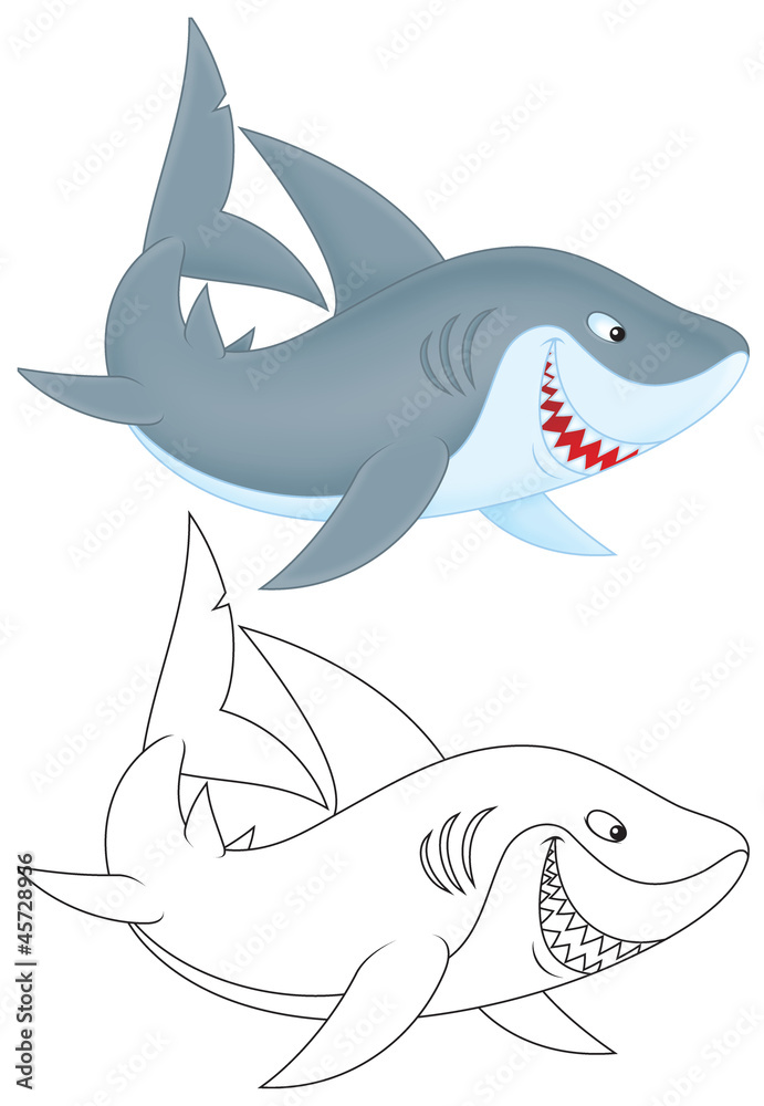 Obraz premium Great white shark